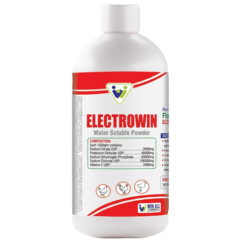 ELECTROWIN