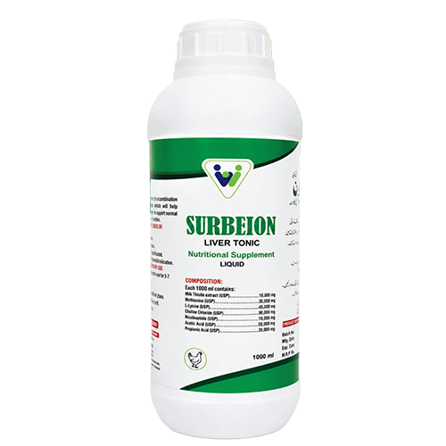Surbeion